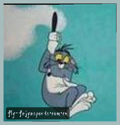 赵刚
